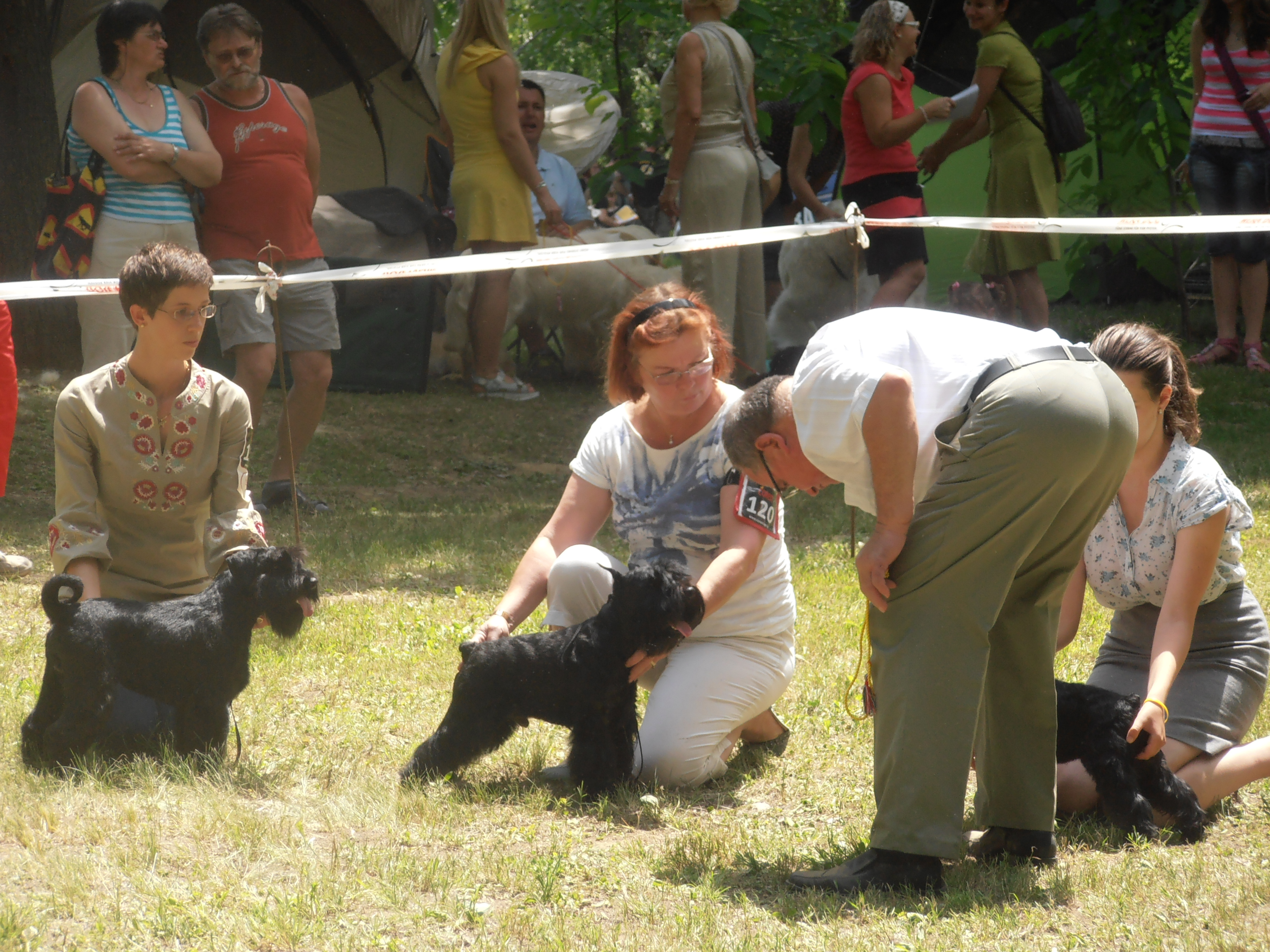 Felhaszn&aacute;l&oacute;i k&eacute;pek / 2012.06.08._075.jpg
